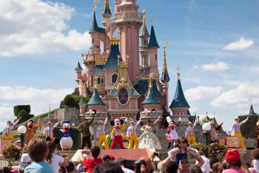 Lovely Apartment Betwen Paris And Eurodisney Nogent-sur-Seine Exteriör bild