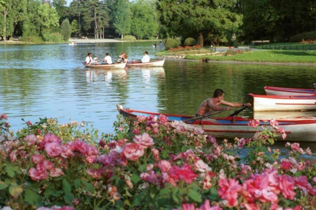 Lovely Apartment Betwen Paris And Eurodisney Nogent-sur-Seine Exteriör bild